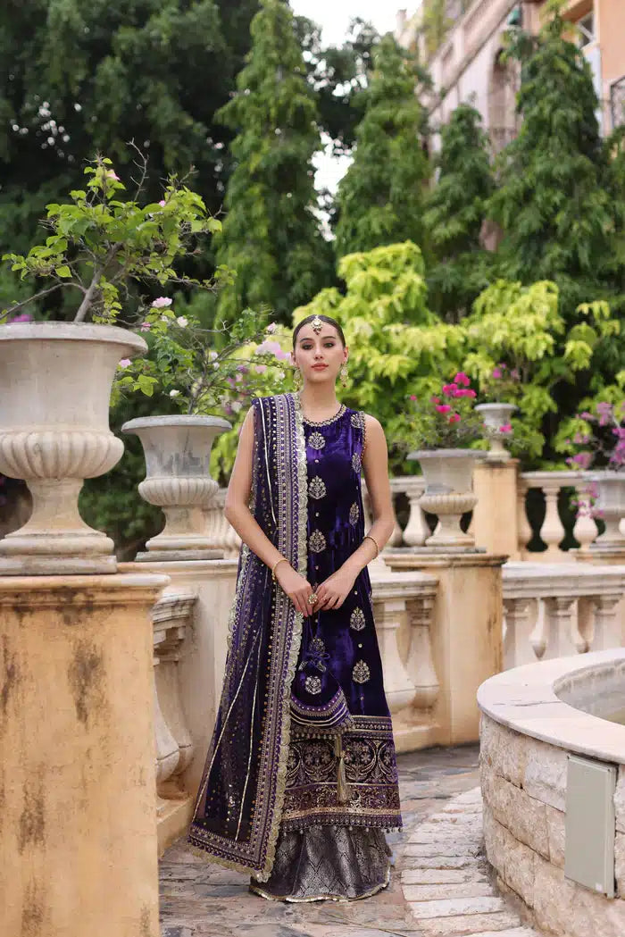 Noor by Saadia Asad | Kaani Wedding Formals 23 | D4 - House Of Anaya