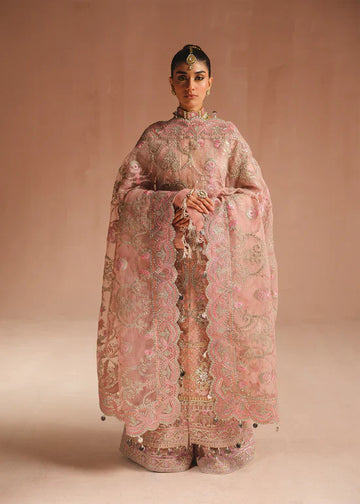 Ali Xeeshan | Prime Time Formals | Aarohi - House Of Anaya