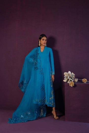 Anam Akhlaq | Festive Collection | D-45 - House of Zarish