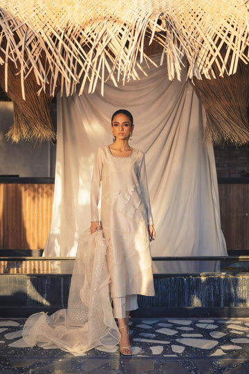 Anam Akhlaq | Festive Collection | D-52 - House of Zarish