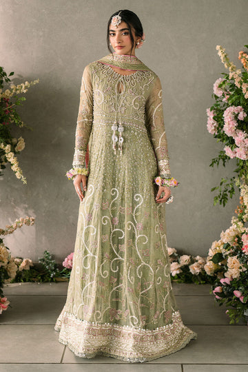Mushq | Mastani Evening Luxury Chiffon | Namar - House Of Anaya