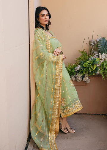 Daud Abbas | Formals Collection | Sunahri - House Of Anaya