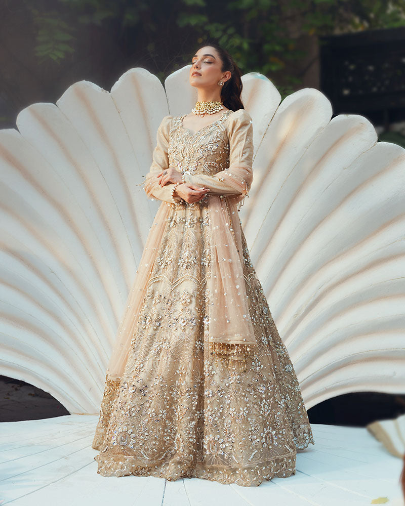 Ain | Naulakha Wedding Festive 24 |  AR-144 SHELL