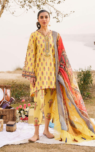 Asifa and Nabeel | Meraki Summer 24 | SONNET-U141M004 - House of Zarish