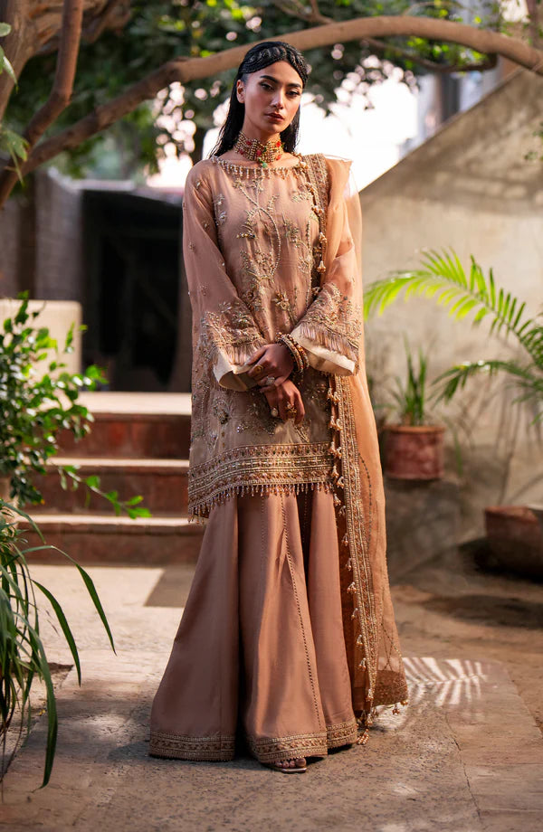 Pakistani Wedding Guest Outfit Ideas for Every Season