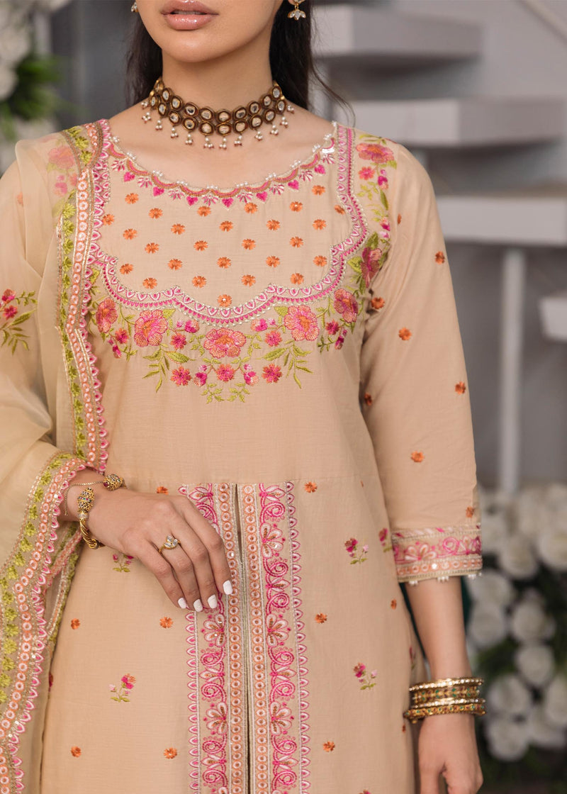 Daud Abbas | Formals Collection | Naimal - House Of Anaya