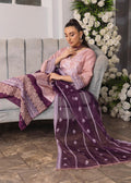 Daud Abbas | Formals Collection | Aiza - House Of Anaya