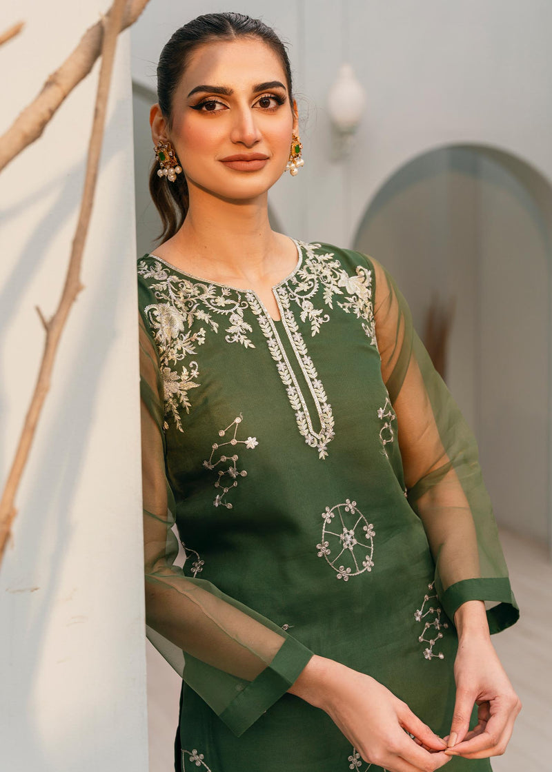 Daud Abbas | Formals Collection | Saboor - House Of Anaya