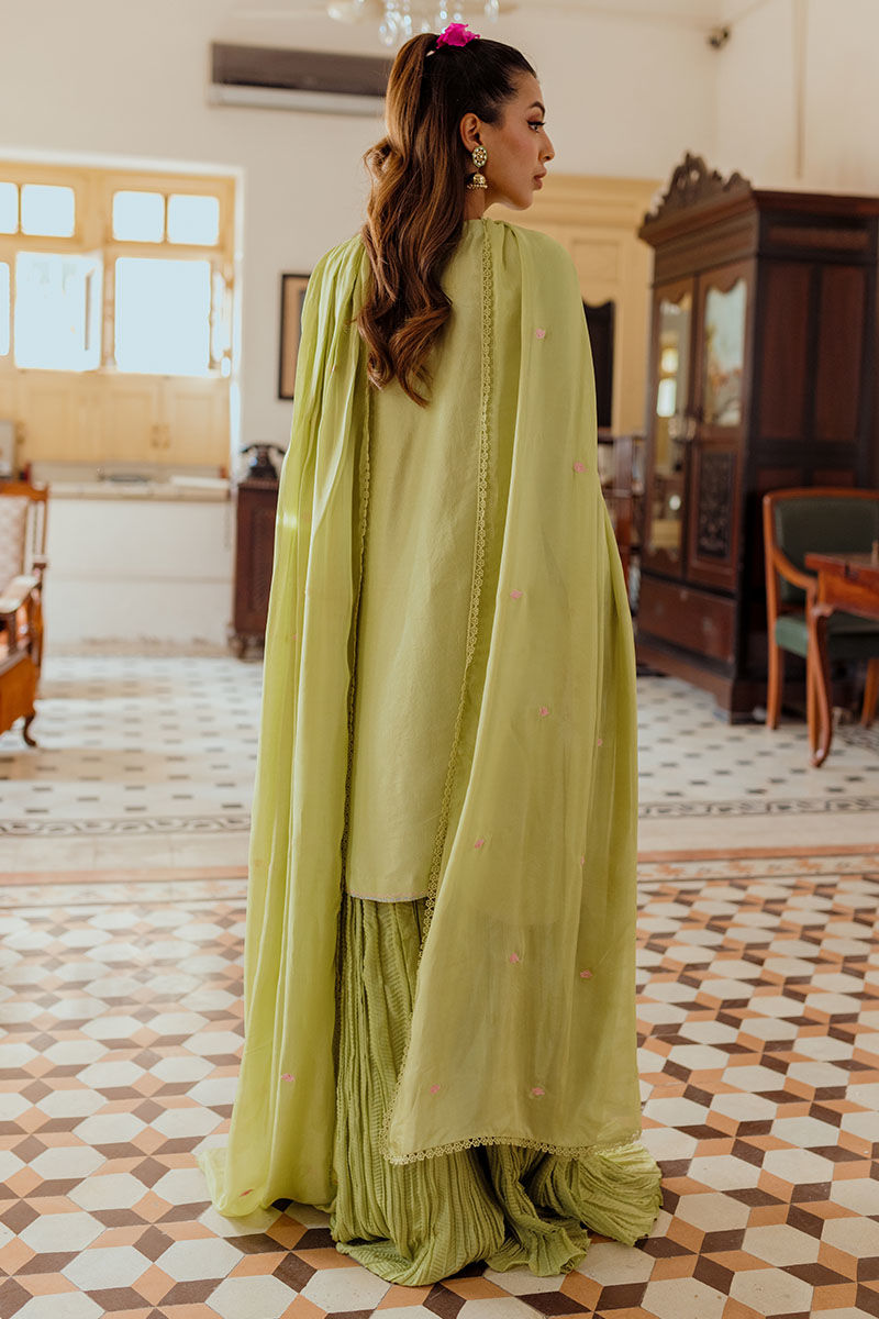 Ansab Jahangir | Luxe Pret Eid 24 | Leena - House Of Anaya
