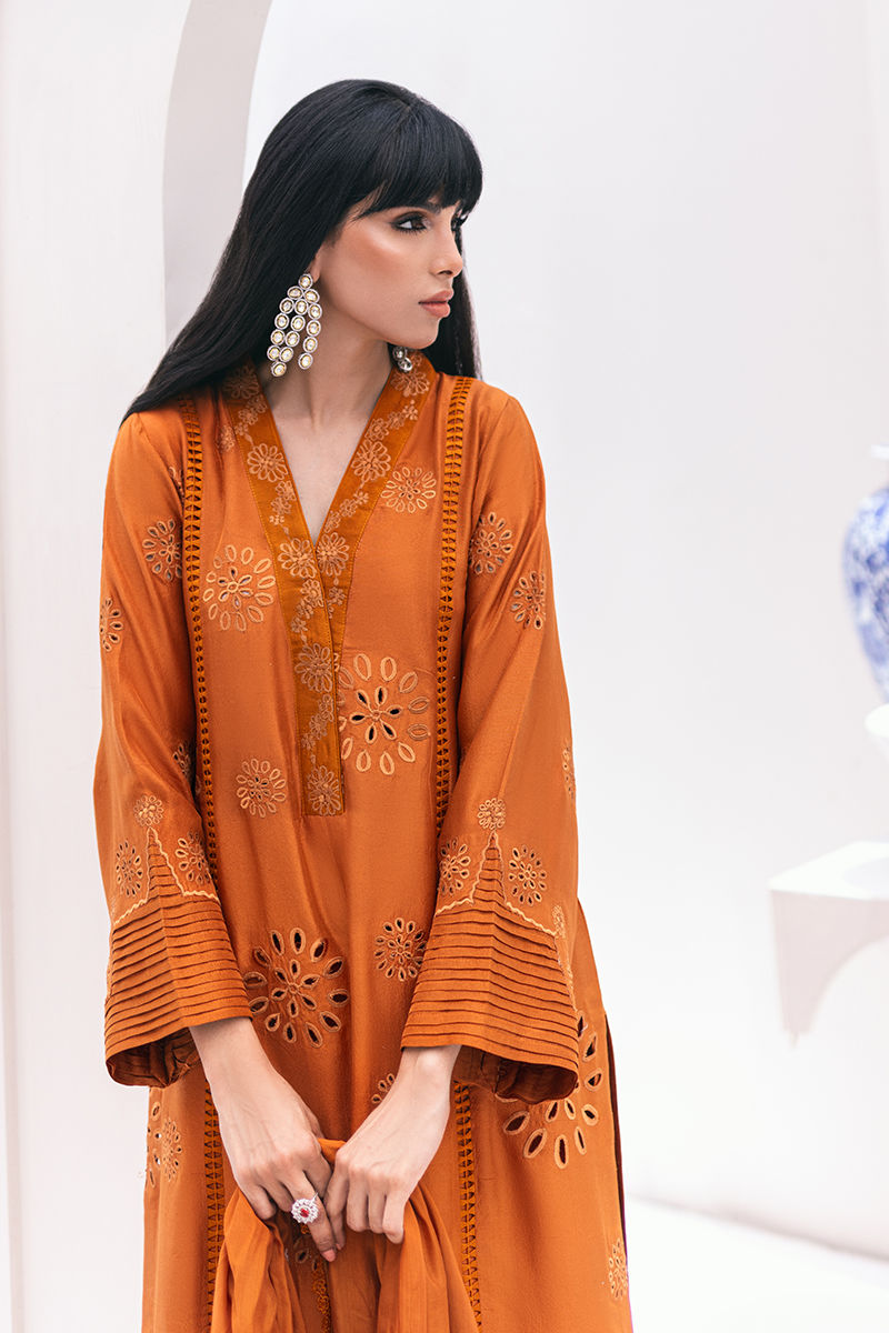 Ansab Jahangir | Luxe Pret Signature | Aeva - House Of Anaya