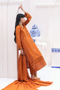 Ansab Jahangir | Luxe Pret Signature | Aeva - House Of Anaya