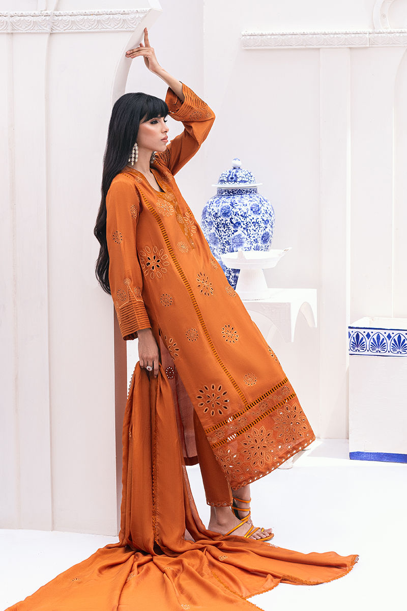 Ansab Jahangir | Luxe Pret Signature | Aeva - House Of Anaya