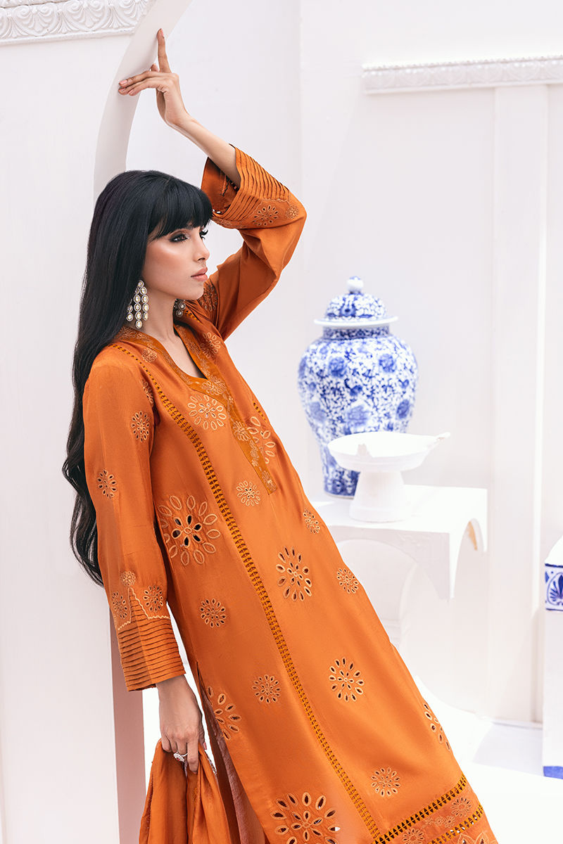 Ansab Jahangir | Luxe Pret Signature | Aeva - House Of Anaya