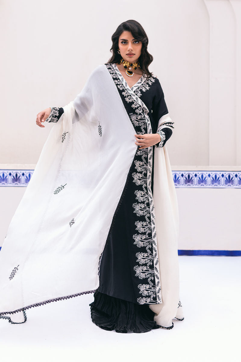 Ansab Jahangir | Luxe Pret Signature | Koel - House Of Anaya