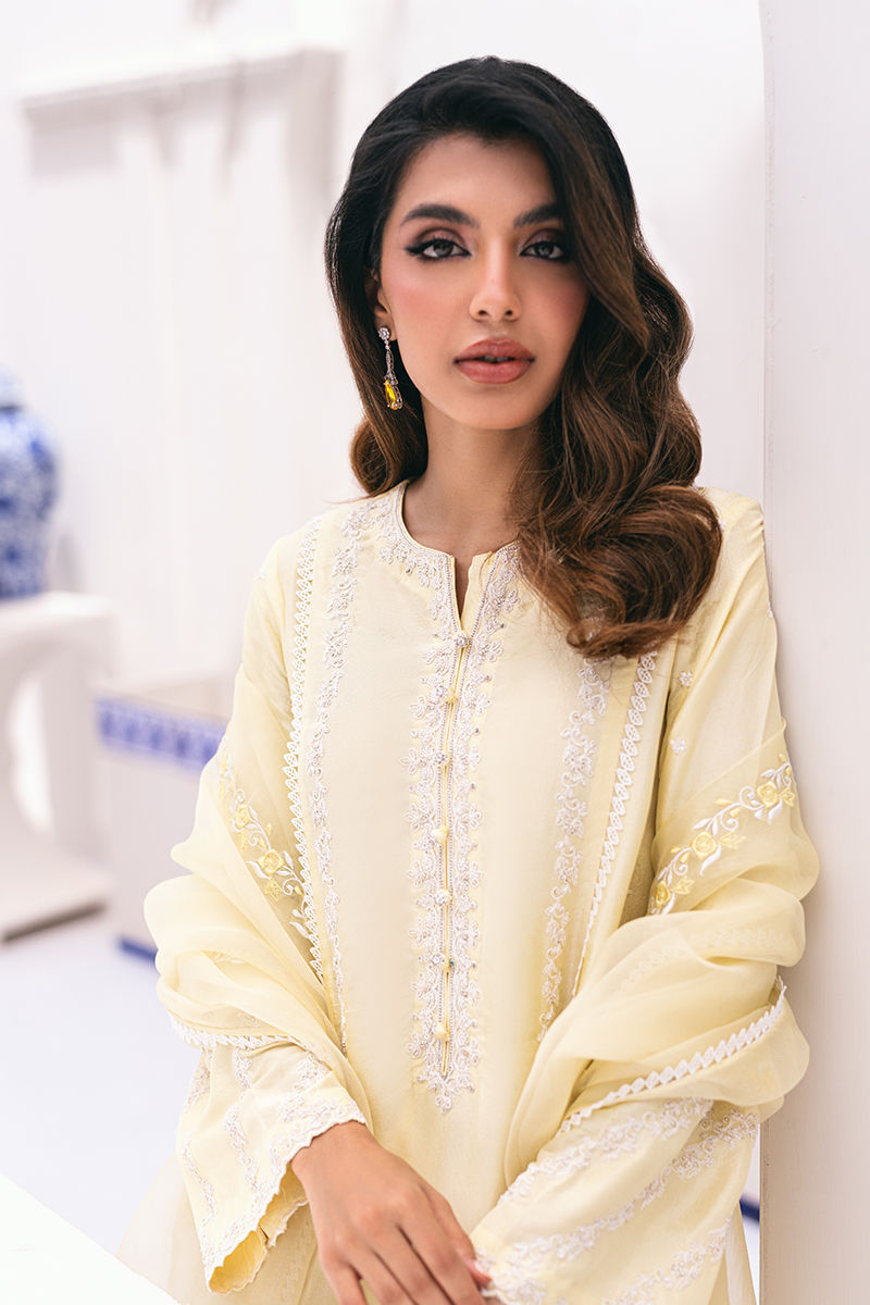 Ansab Jahangir | Luxe Pret Signature | BANEEN - House Of Anaya