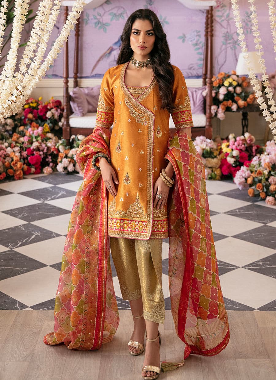 Farah Talib Aziz | Mayna Festive Luxe | Sarv - House Of Anaya