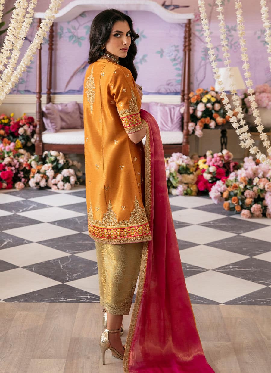 Farah Talib Aziz | Mayna Festive Luxe | Sarv - House Of Anaya