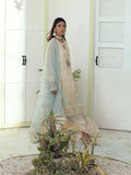 Salitex | Signature Festive Chiffon | SUNW6NO005UT
