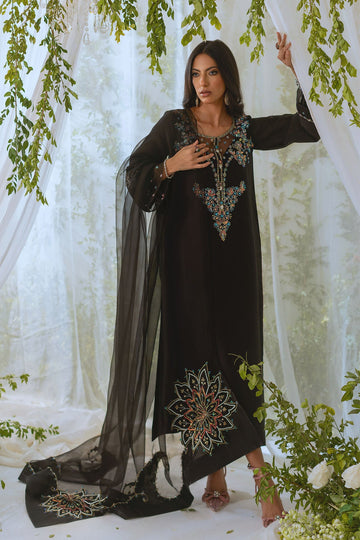 Annus Abrar | Lumi Eid Edit | Neda (Shirt and Pants)