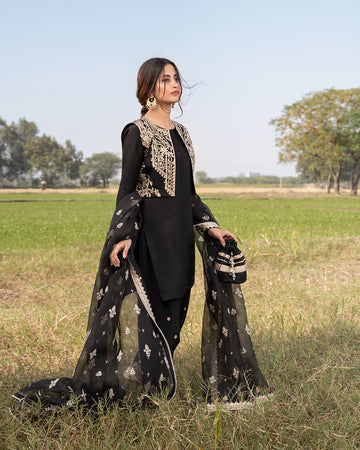 Faiza Saqlain | FS Luxe Vasl e yaar | Zaabya