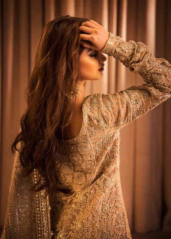 HSY | Rehana Collection 2023 | Ulfat - House of Zarish