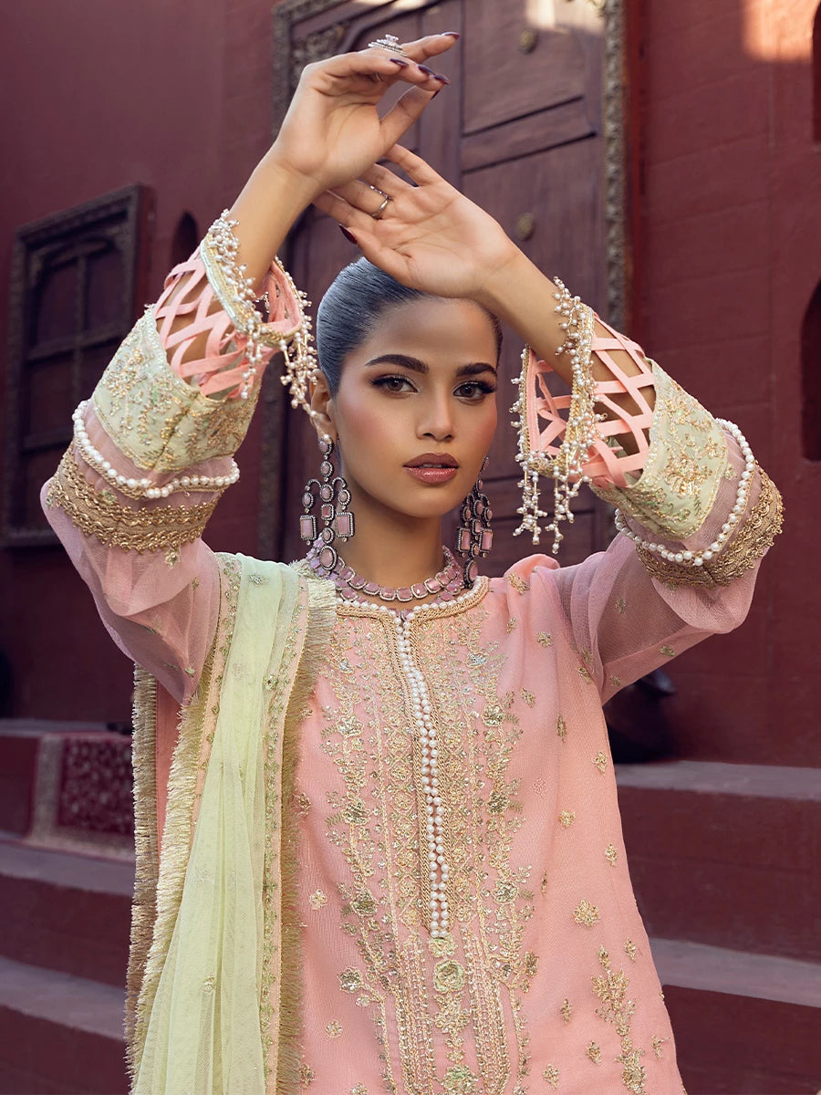 Salitex | Signature Festive Chiffon | SUNW6JI016UT