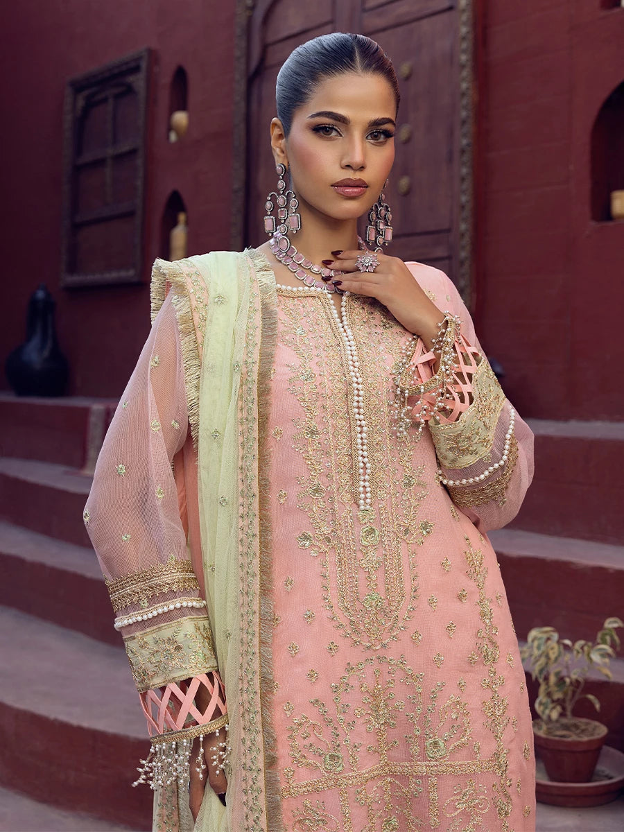 Salitex | Signature Festive Chiffon | SUNW6JI016UT