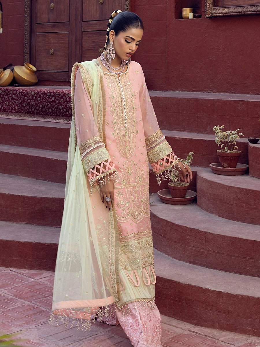 Salitex | Signature Festive Chiffon | SUNW6JI016UT
