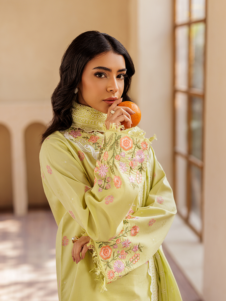 Rajbari | Amari Hybrid Jacquard Edition | Amari Jacquard - 08 - House Of Zarish