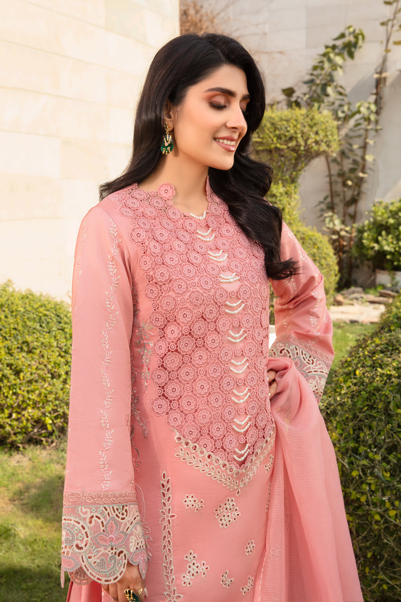 Rangrasiya | Premium Collection 24 | PARISA