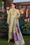Rangrasiya | Premium Collection 24 | AYSEL