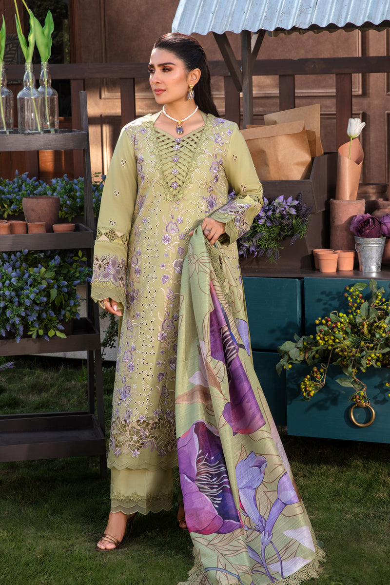 Rangrasiya | Premium Collection 24 | AYSEL