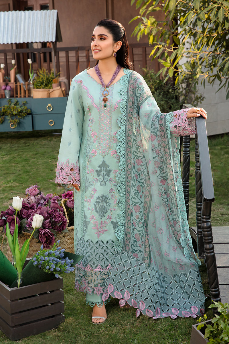 Rangrasiya | Premium Collection 24 | AMYRA