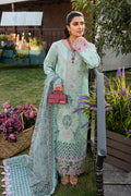 Rangrasiya | Premium Collection 24 | AMYRA
