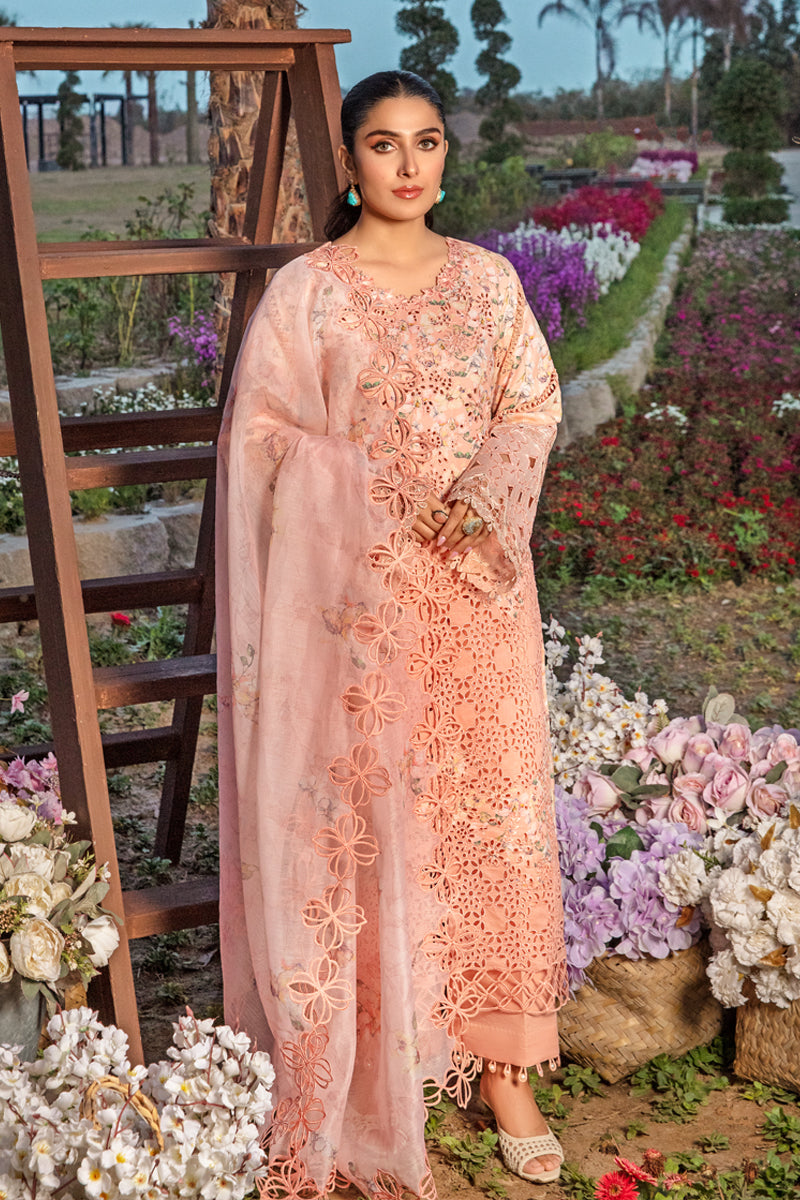Rangrasiya | Premium Collection 24 | MAHI