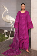 Rangrasiya | Premium Collection 24 | ZUBIYA