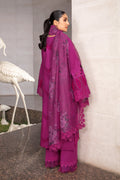 Rangrasiya | Premium Collection 24 | ZUBIYA