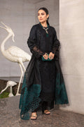 Rangrasiya | Premium Collection 24 | ZOYA