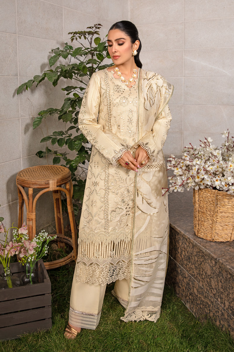 Rangrasiya | Premium Collection 24 | HAYA