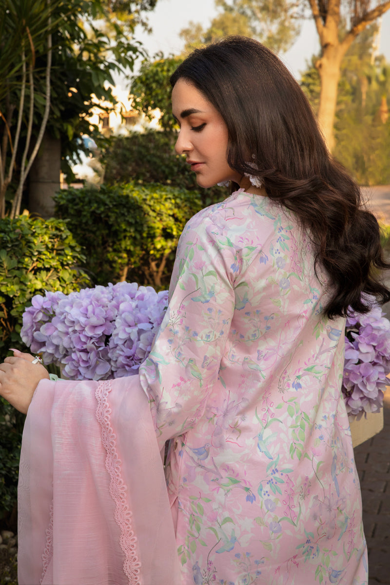 Rangrasiya | Florence Summer Edit 25 | Rania - House Of Zarish