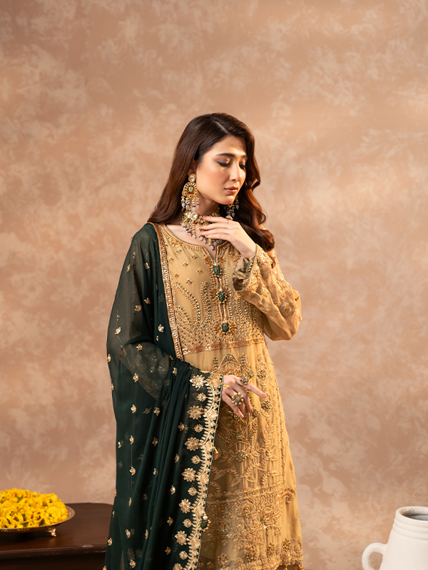 Zebtan | Zeenat Festive Collection | ZN-06 - House of Zarish