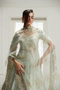 Raeesa Premium Saad Bin Shahzad | Lolita-25 | IZEL
