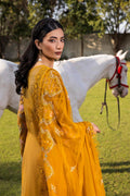 Raeesa Premium | Senorita Formals | SR-001