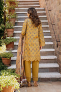 Afrozeh | Damask The Holiday Edit '25 | Lorien B