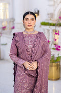 EMAAN ADEEL-ZM 02 ZARTAASH - House Of Anaya
