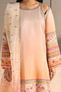 Afrozeh | Silk Muse 26 | Pearl Draped - Image 3