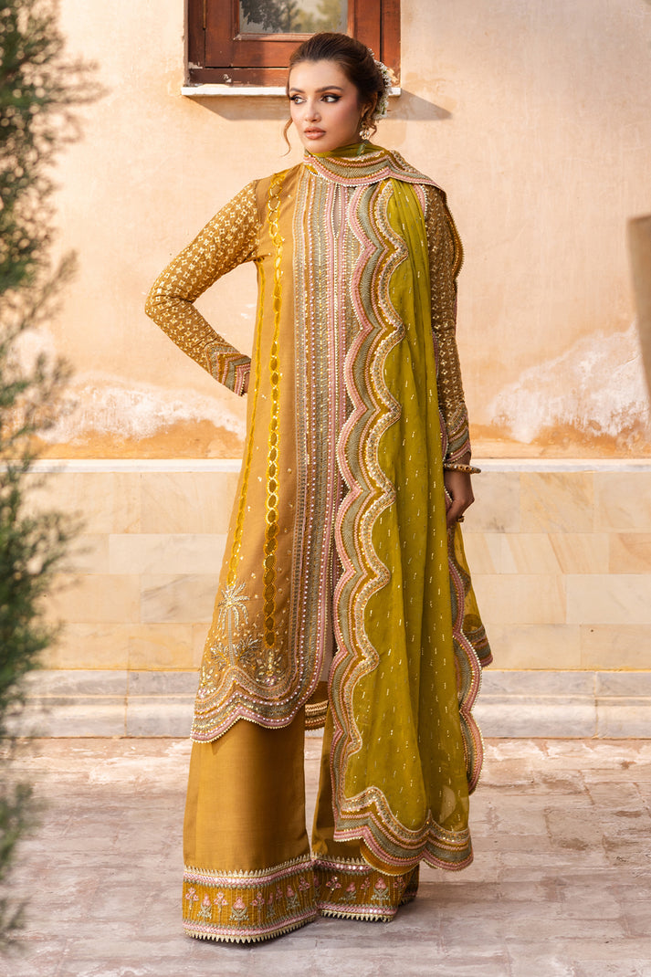 Saad Shaikh | Jahan Festive Collection | NORMA - House Of Anaya