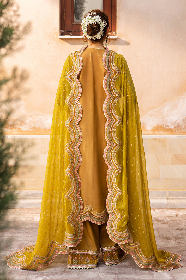 Saad Shaikh | Jahan Festive Collection | NORMA - House Of Anaya