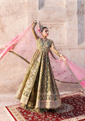 Zarqash | Arzoo Festive Collection | Gulbahār