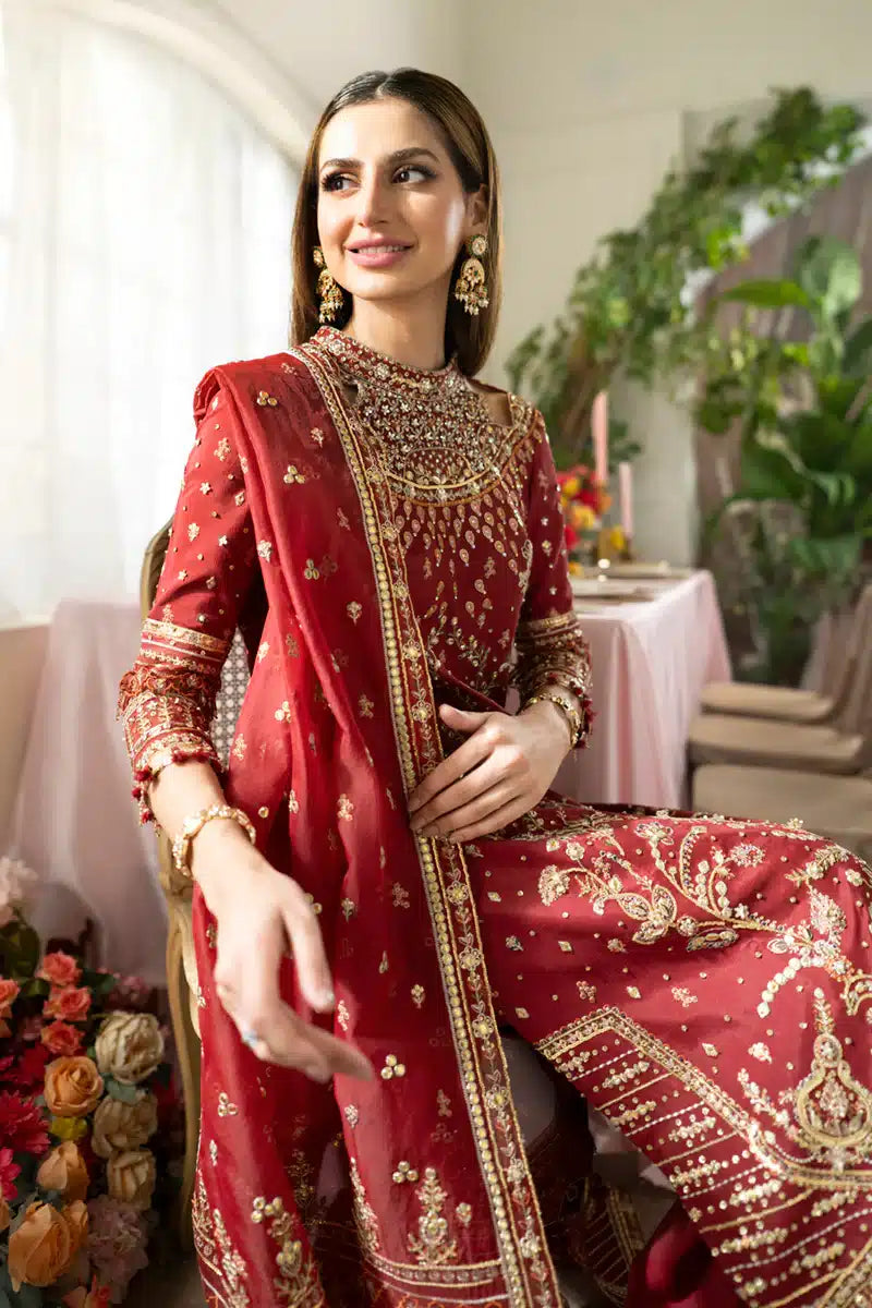 Qalamkar | Dilnaz Wedding Formals | DN-03 ZAINA - House Of Anaya